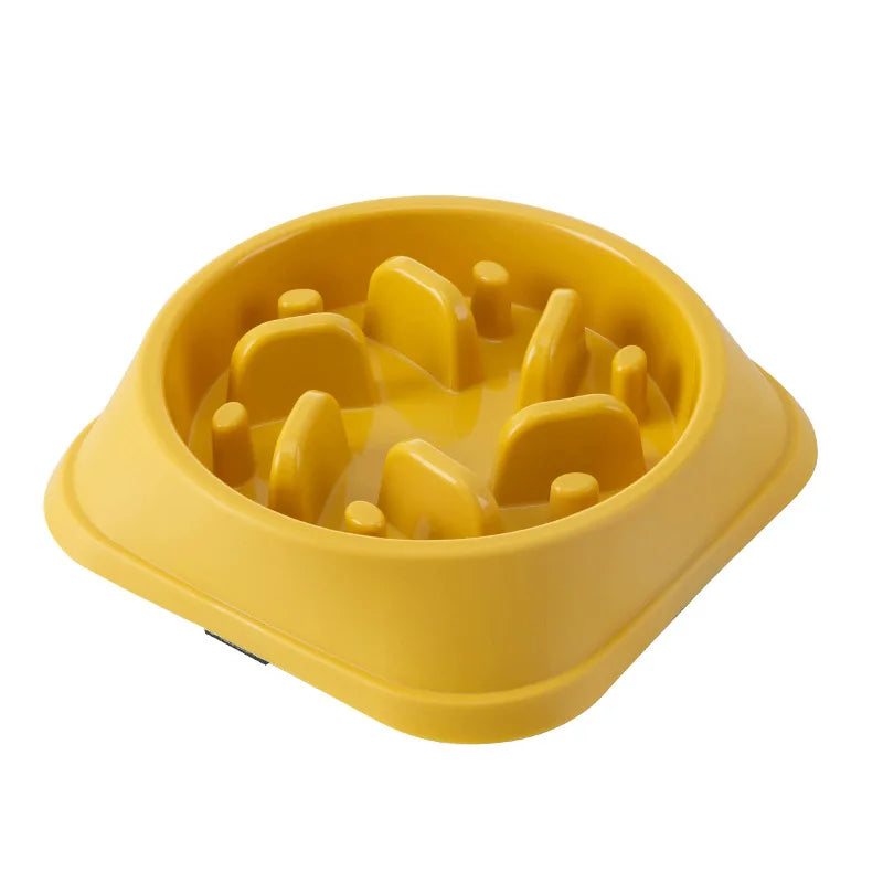 Gamelle anti-glouton pour chien & chat