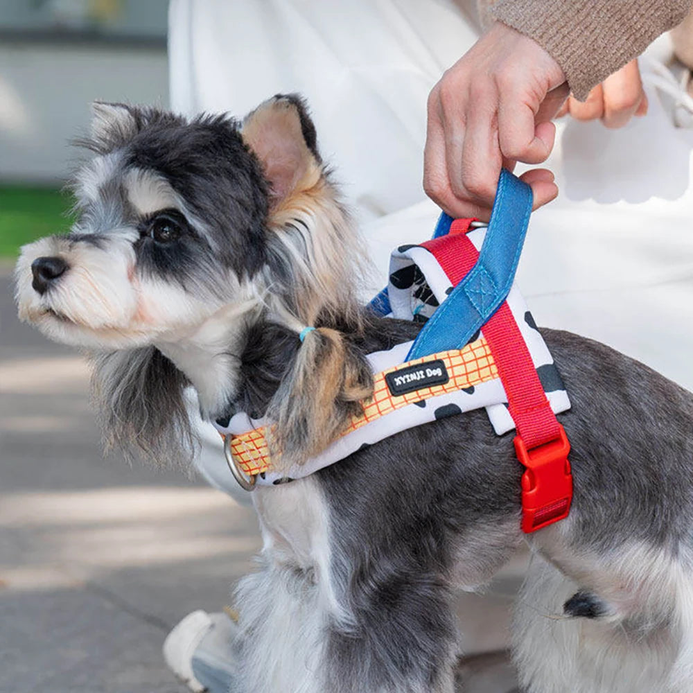 Harnais anti-traction réglable pour chien + laisse