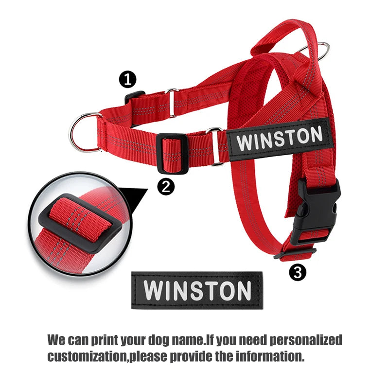 Harnais anti-traction réglable pour chien + laisse