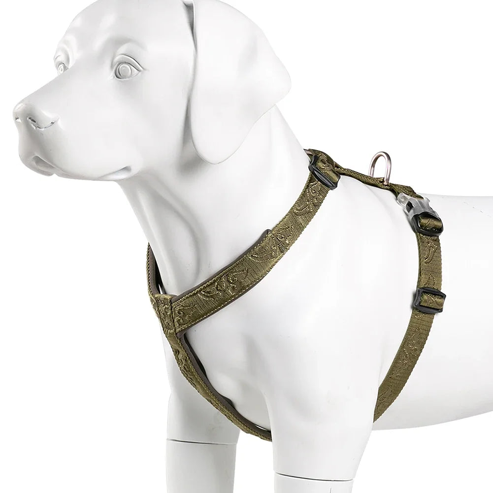 Harnais anti-traction réglable pour chien + laisse