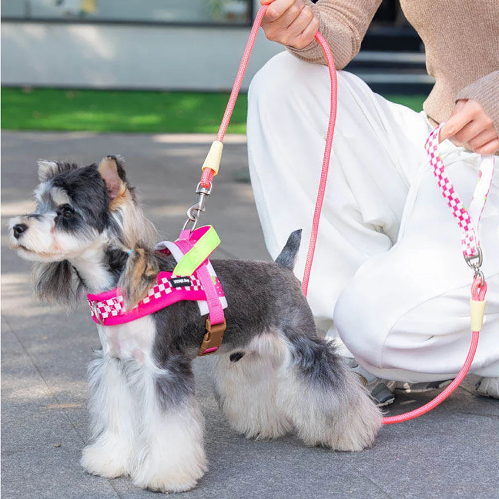 Harnais anti-traction réglable pour chien + laisse