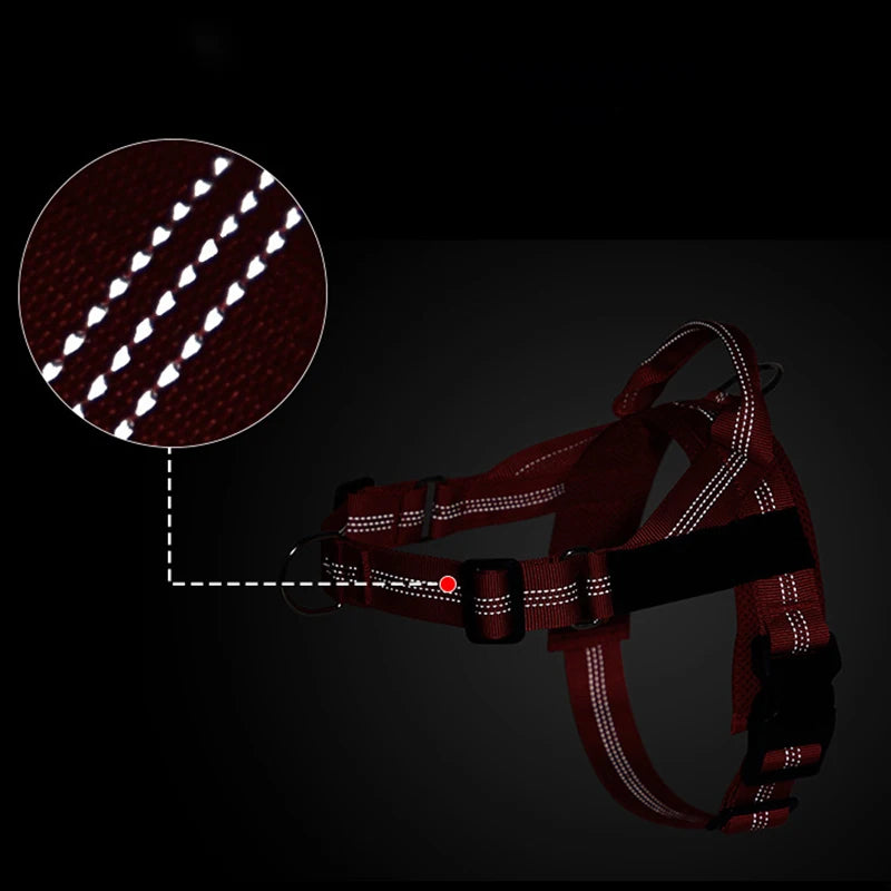 Harnais anti-traction réglable pour chien + laisse