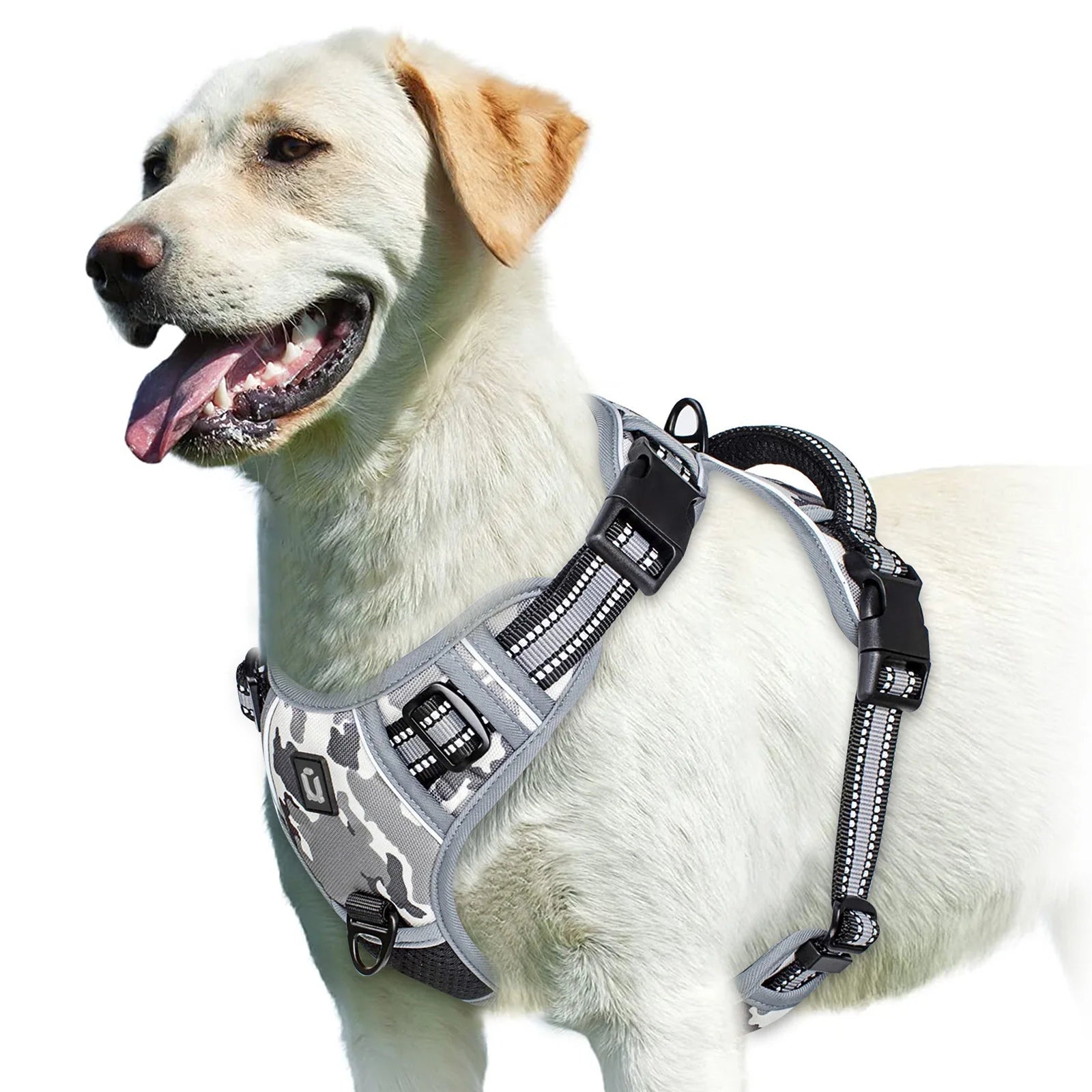 Harnais anti-traction réglable pour chien + laisse