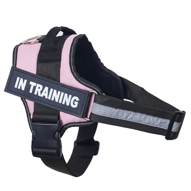 Harnais anti-traction réglable pour chien + laisse