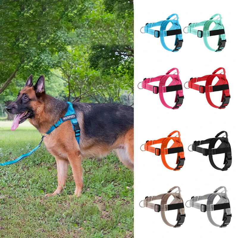 Harnais anti-traction réglable pour chien + laisse