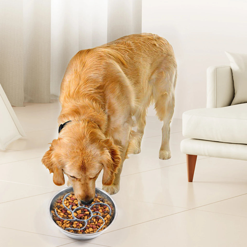 Gamelle anti-glouton pour chien & chat