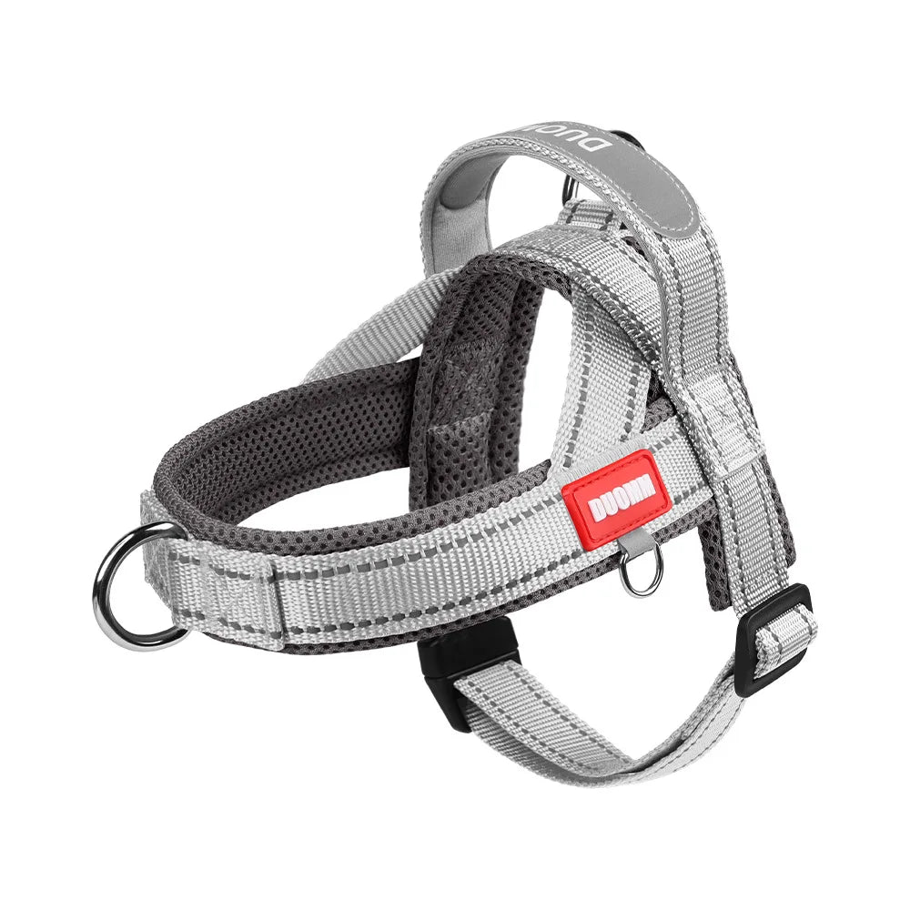 Harnais anti-traction réglable pour chien + laisse