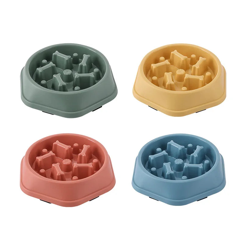 Gamelle anti-glouton pour chien & chat