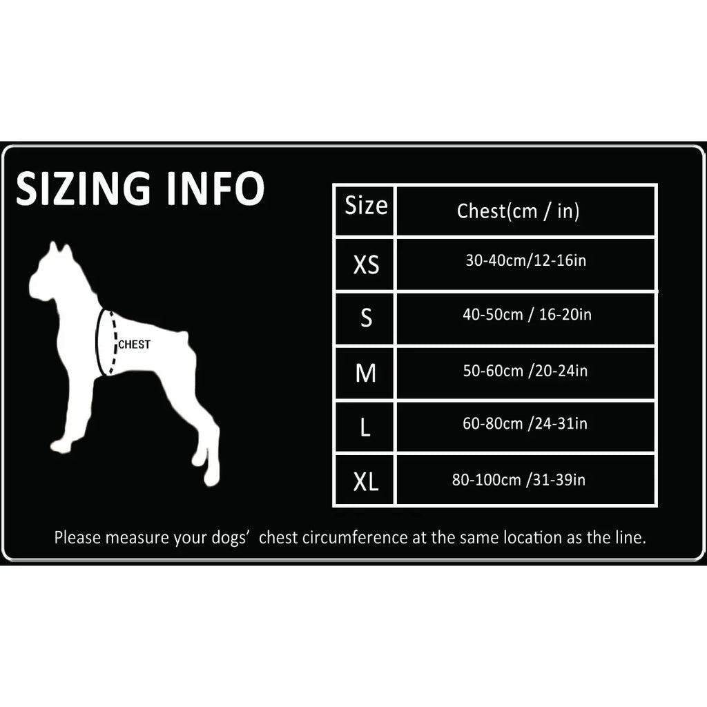 Harnais anti-traction réglable pour chien + laisse