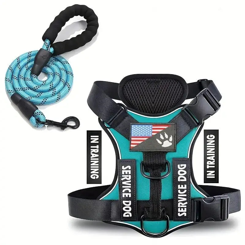 Harnais anti-traction réglable pour chien + laisse