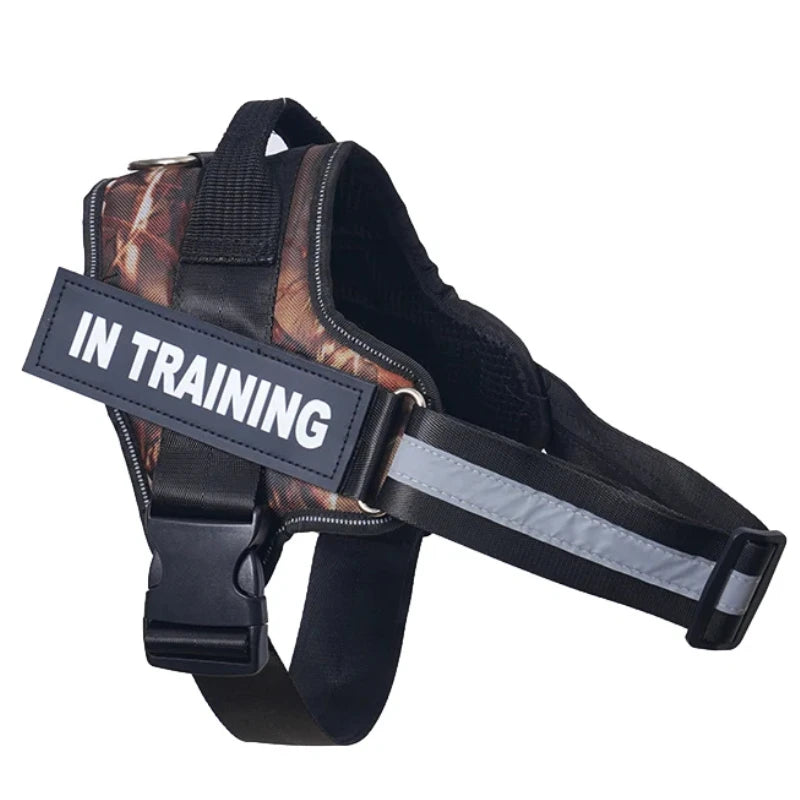 Harnais anti-traction réglable pour chien + laisse