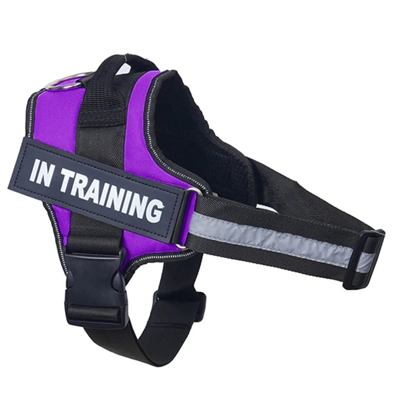 Harnais anti-traction réglable pour chien + laisse