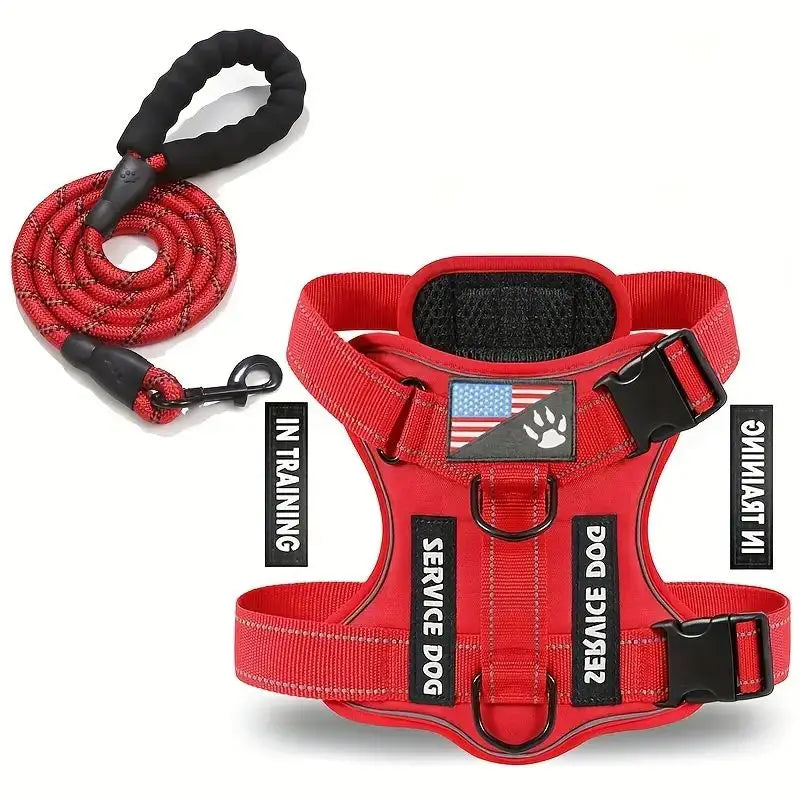 Harnais anti-traction réglable pour chien + laisse